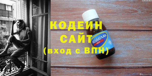 МДПВ Каменка