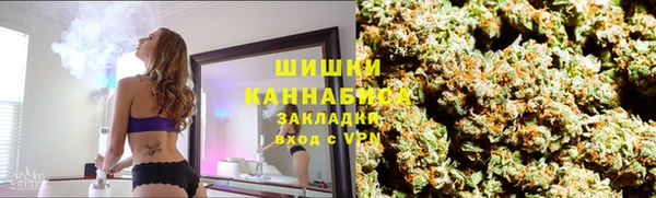 гидра Армянск