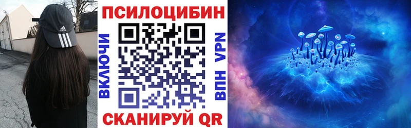 Псилоцибиновые грибы Psilocybe как найти наркотики Ступино
